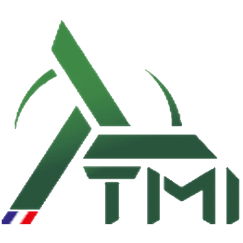 TMI