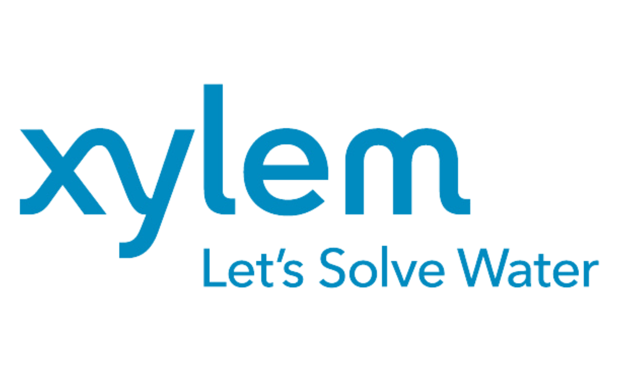 XYLEM WATER SOLUTIONS France