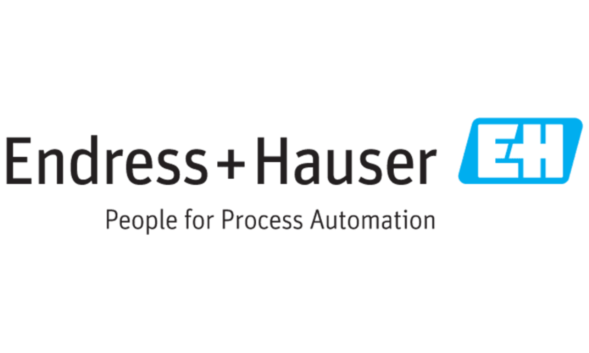 Endress+Hauser France